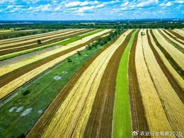在线配资软件 「农业行业观察」农资行业如何破局？附7条创新路径，引爆变革